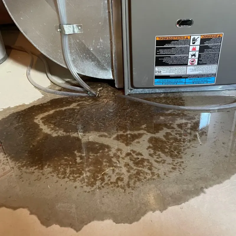 Pipe Burst and Leak Restoration in Cannelton, IN